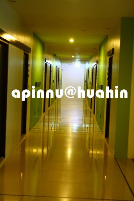 apinnu18.jpg